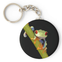 red eyed tree frog keychain