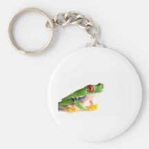 red eyed tree frog keychain