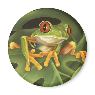 Red Eyed Tree Frog Magnet by Laura_Regan_Artist