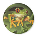 Red Eyed Tree Frog Magnet