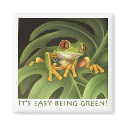 Red Eyed Tree Frog Magnet magnet