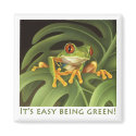 Red Eyed Tree Frog Magnet