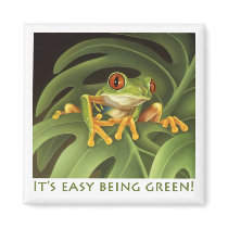 Red Eyed Tree Frog Magnet