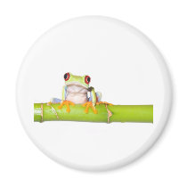 red eyed tree frog magnet