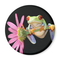 red eyed tree frog fridge magnet