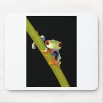 red eyed tree frog mouse pad