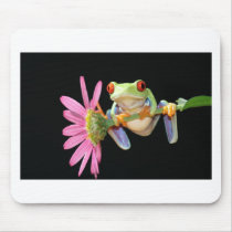 red eyed tree frog mousepad