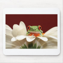 red eyed tree frog mousepads