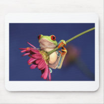 red eyed tree frog mouse pad