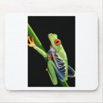 red eyed tree frog mouse pads