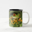 Red Eyed Tree Frog Mug by Laura_Regan_Artist Red Eyed Tree Frog Mug