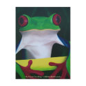 Red Eyed Tree Frog Postcard by theHOELstudio Red Eyed Tree Frog Postcard