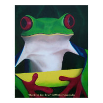 Red Eyed Tree Frog Poster