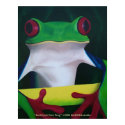 Red Eyed Tree Frog Poster posters