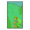 Red Eyed Tree frog posters by sammysmee Red Eyed Tree frog posters