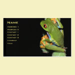 Red-eyed Tree Frog Profile Card - Customized Business Card