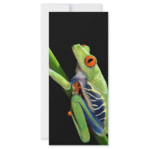 red eyed tree frog custom rack card