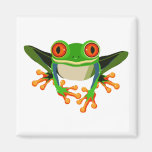 Red Eyed Tree Frog Refrigerator Magnets