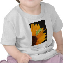 red eyed tree frog shirt