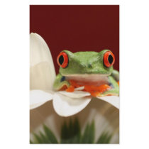 red eyed tree frog stationery paper
