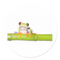 red eyed tree frog stickers