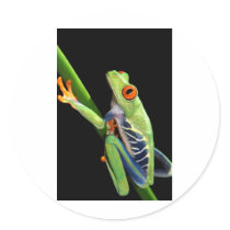 red eyed tree frog stickers