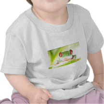 red eyed tree frog tees