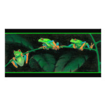 Red-Eyed Tree Frogs photo cards