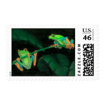 Red-Eyed Tree Frogs postage