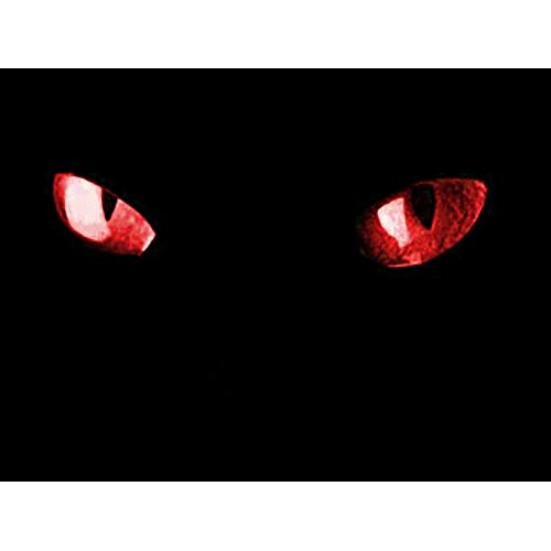 Red Eyes Cat print