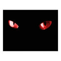 Red Eyes Cat posters by dar9ely Red Eyes Cat posters