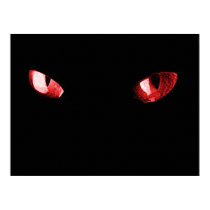 Red Eyes Cat posters