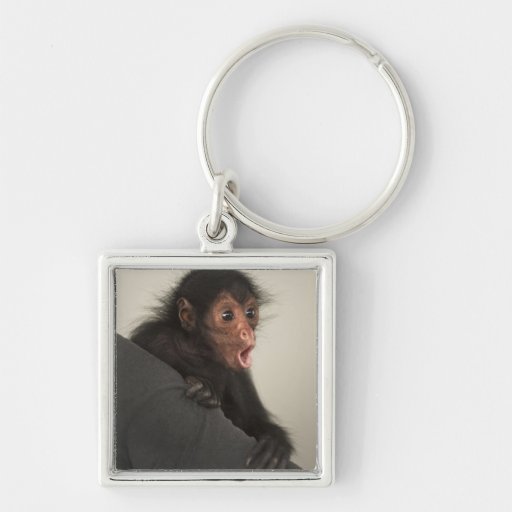 Red-faced Spider Monkey Ateles paniscus) Keychains