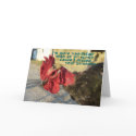 Red Faced Turkin cards