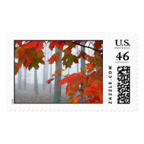 red_fall_leaves_contest stamps