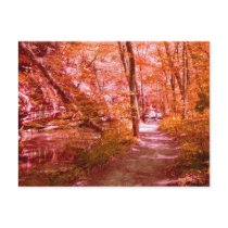 Red Fall Postcard