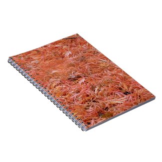 Red Fallen Autumn Leaves Notepad Notebook