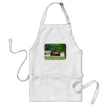 Red Farm Shed Apron