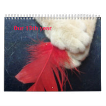 Red Feather Art Cats Calendar