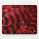 Red Feathers
