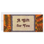 Red Fern Gift Certificate template Custom Rack Card