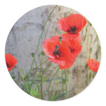 Red Field Corn Poppies Sticker by kit2008 Red Field Corn Poppies Sticker