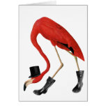 red flamingo in the hat cards