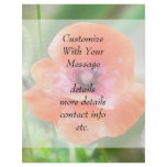 Red Flanders Poppy flyers