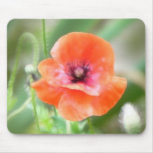 Red Flanders Poppy Mousepad