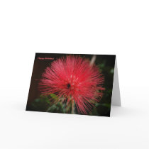 Red Flash Birthday Card by pulsDesign Red Flash Birthday Card