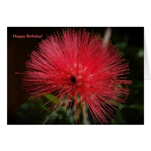 red floral birthday card