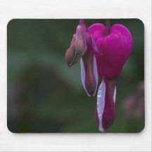 red-flower-2012-05-14 mousepads