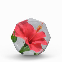 Red Flower Award