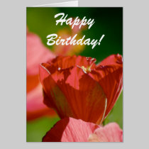 Red Flower Birthday card cards